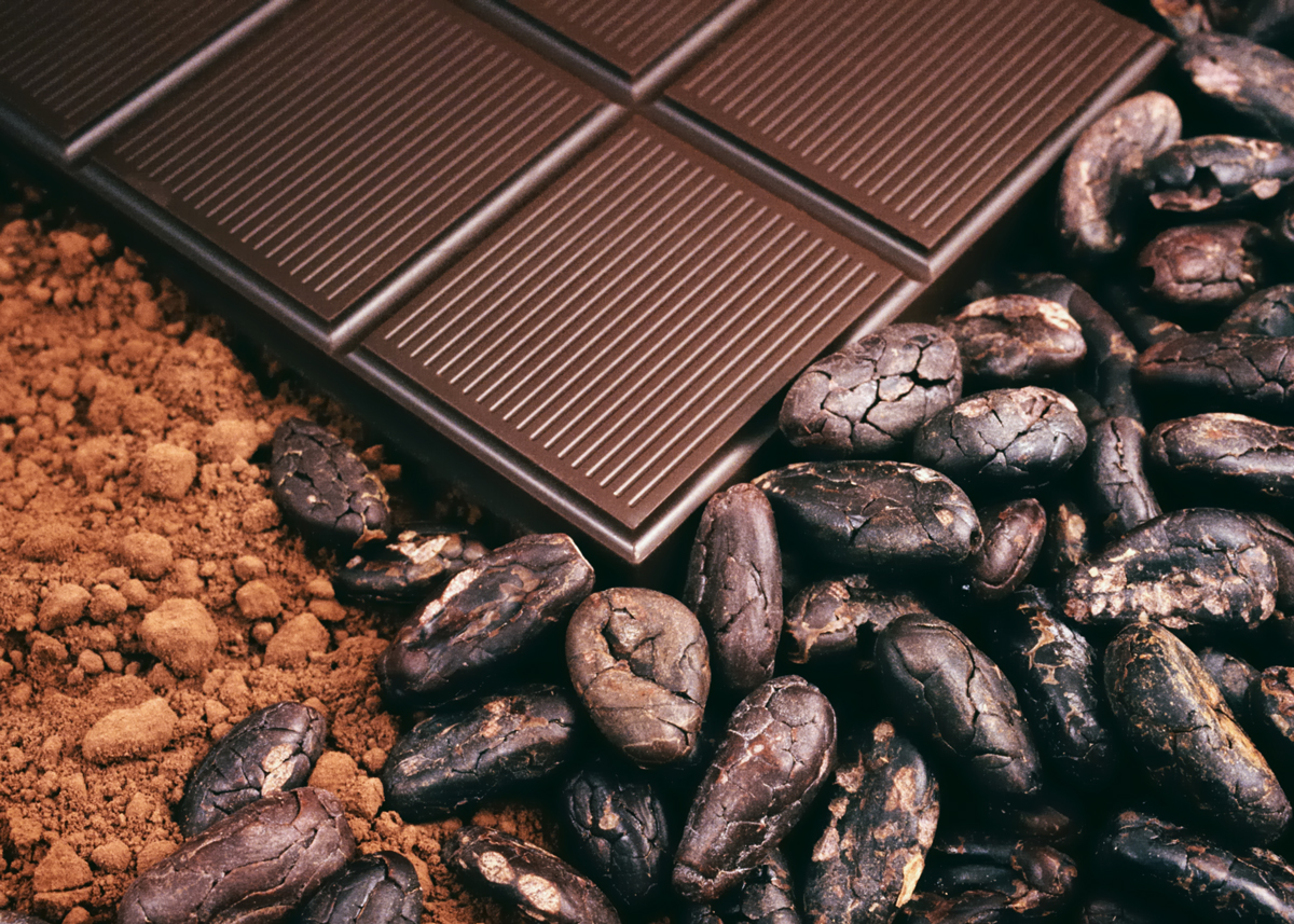 chocolate-liquor-(backing-chocolate),-cocoa-beans,-cocoa-powder